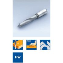 Shank 10 mm, HW solid